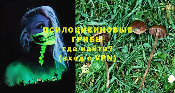 гашик Алзамай