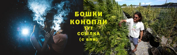 сатива Абдулино
