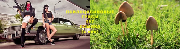 сатива Абдулино