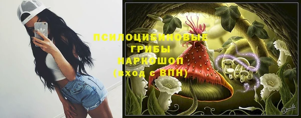 гашик Алзамай