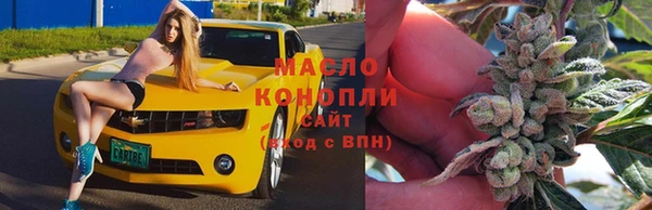 гашик Алзамай